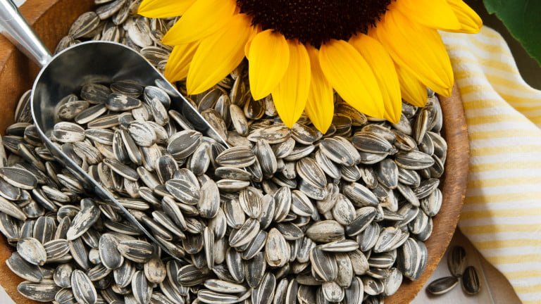Sunflower seed
