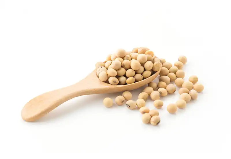soya